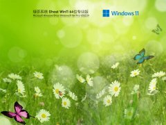 绿茶系统 Ghost Win 11 64位 最新免费版 V2021.01 官方优化特别版