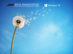 雨林木风Win 10 21H1 64位专业版 V2021.06 官方优化特别版