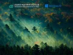 大地系统 Ghost Win 10 64位 免费专业版 V2021.11 官方优化特别版