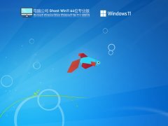 电脑公司 Ghost Win 11 64位 专业激活版 V2021.12 官方优化特别版