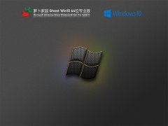 萝卜家园 Ghost Win 10 64位 专业版 V2021.11 官方优化特别版