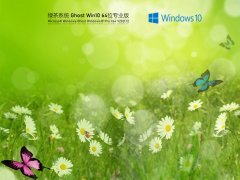 绿茶系统 Ghost Win 10 64位 安全装机版 V2021.12 官方优化特别版