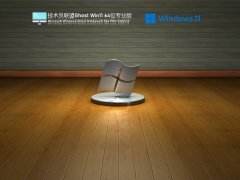 技术员联盟 Ghost Win 11 64位 纯净稳定版 V2021.12 官方优化特别版