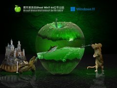 青苹果系统 Ghost Win 11 64 最新正式版 V2021.12 官方优化特别版