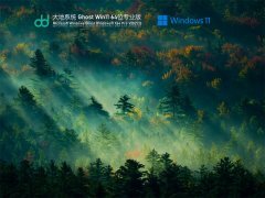 大地系统 Ghost Win 11 64位 专业稳定版 V2021.12 官方优化特别版