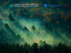 大地系统 Ghost Win 10 64位 专业优化版 V2021.12 官方优化特别版