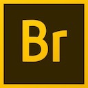 Adobe Bridge for Mac 2020 v10.0.2.131 中文完整直装版