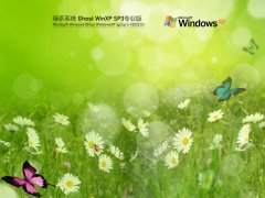 绿茶系统 Ghost WinXP SP3 精简优化版 V2022.03 官方特别优化版